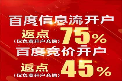 百度竞价公司与品牌合作：双赢的案例分析